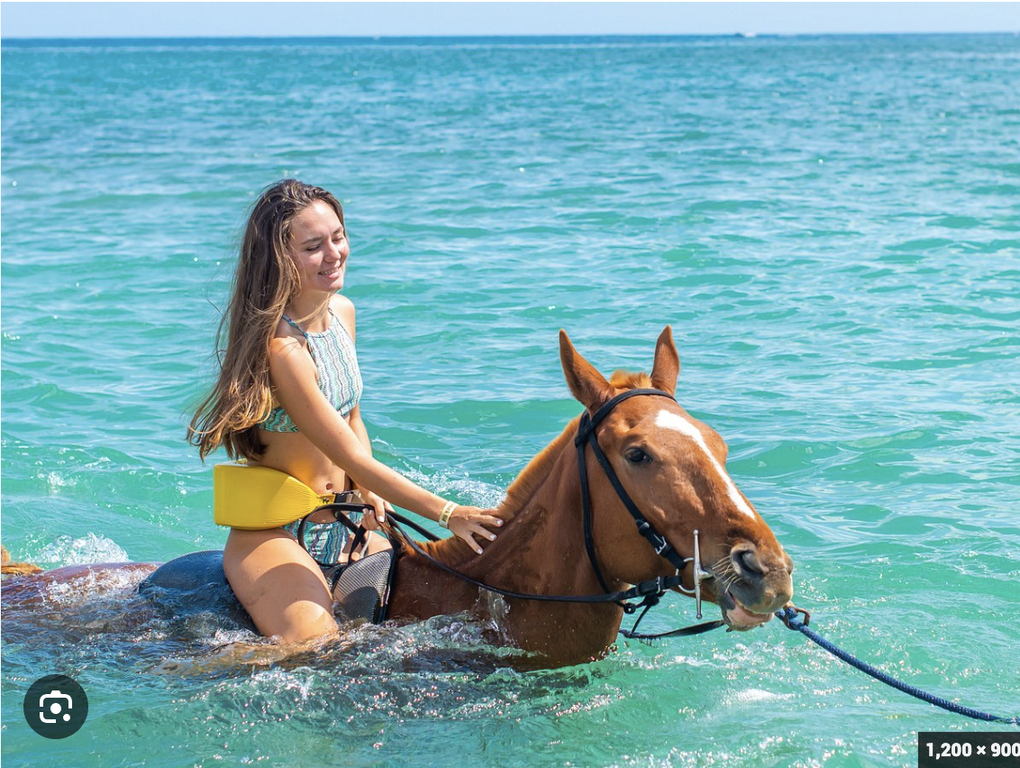 Horseback Riding excursion in Jamaica
