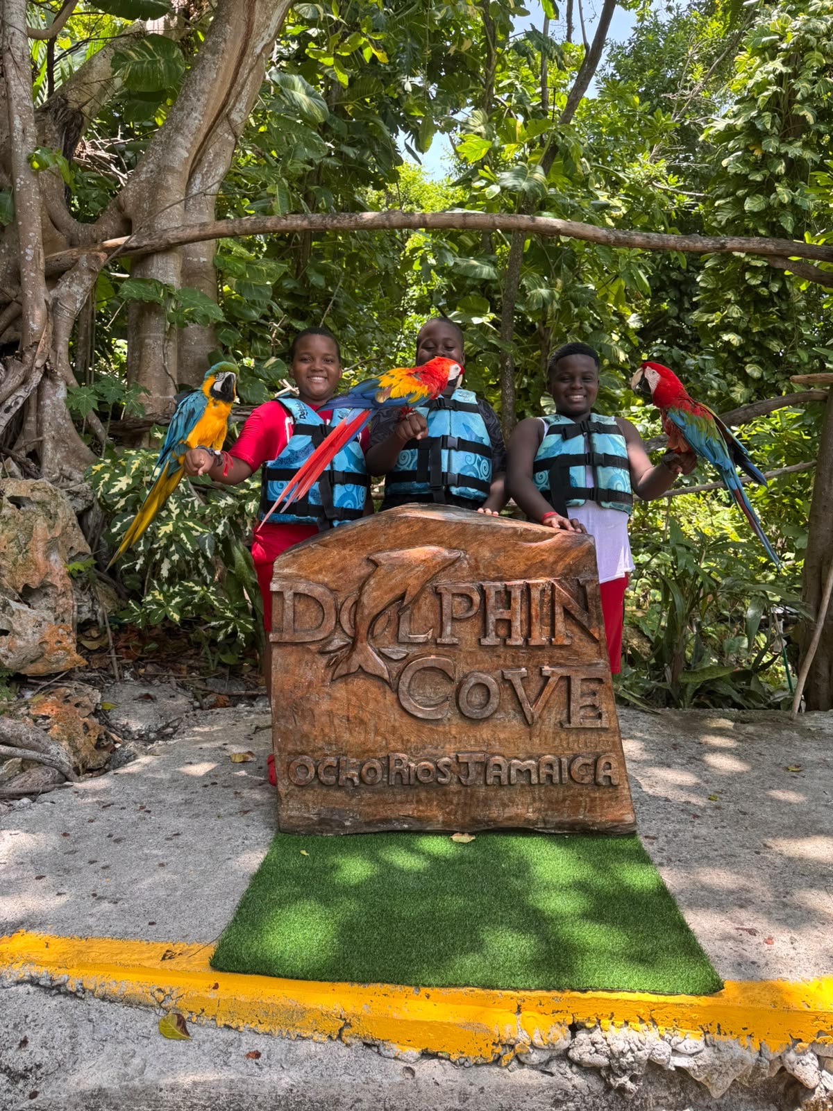 Dolphin Cove in Ocho Rios