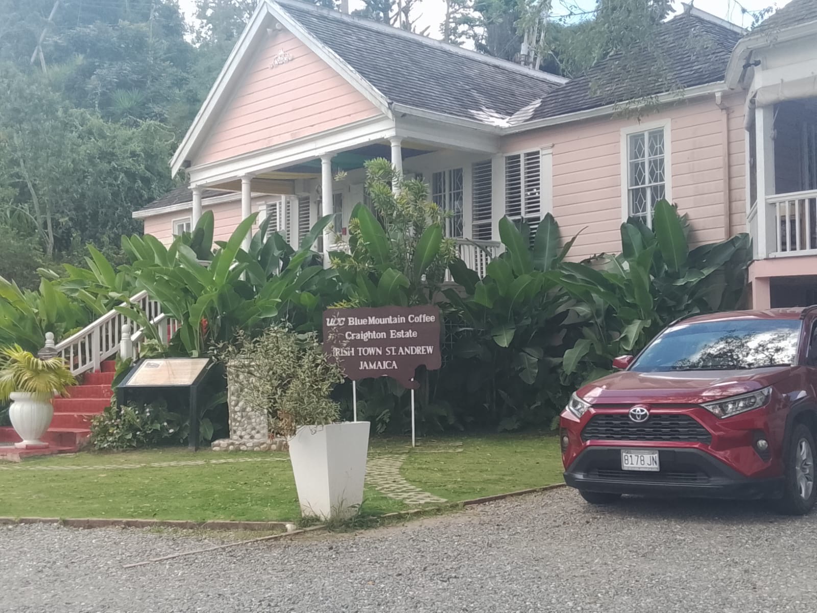Blue Mountain coffee farm tour