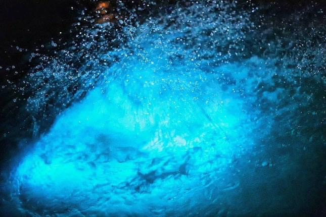 Luminous Lagoon glowing at night in Falmouth