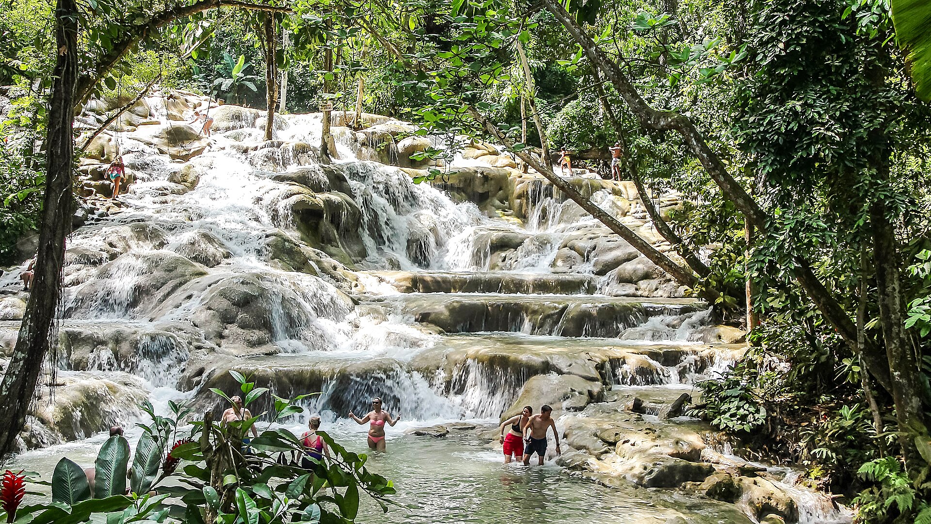 Exclusive Island Tours
