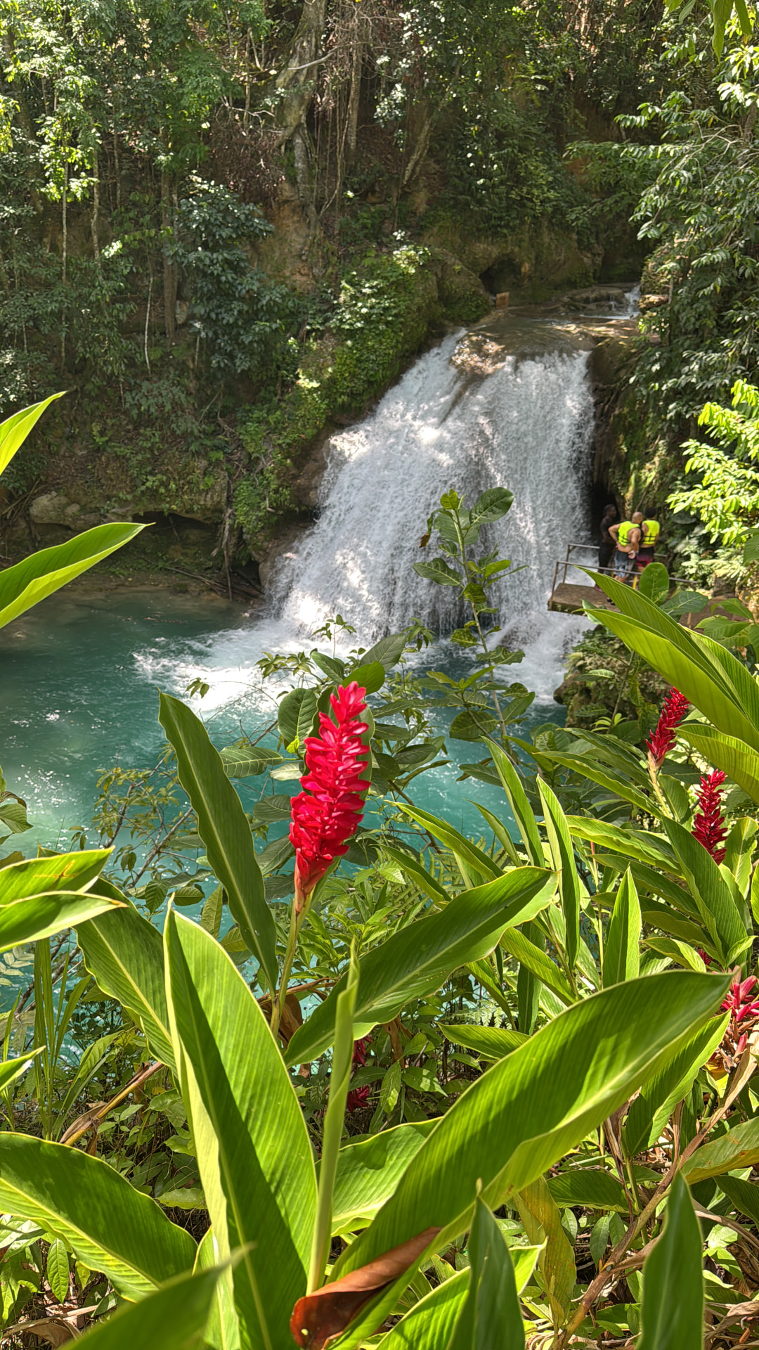 Blue Hole in Jamaica